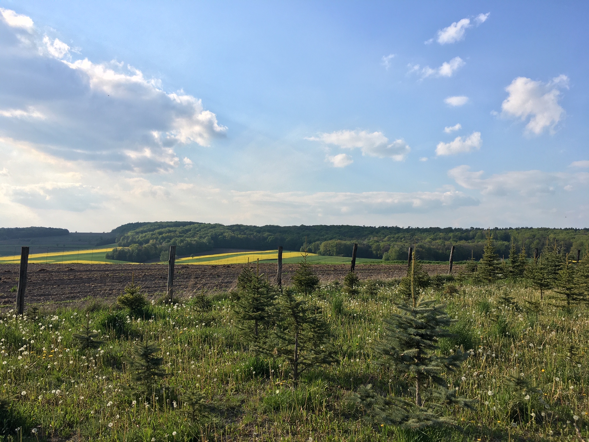 Burdanówka