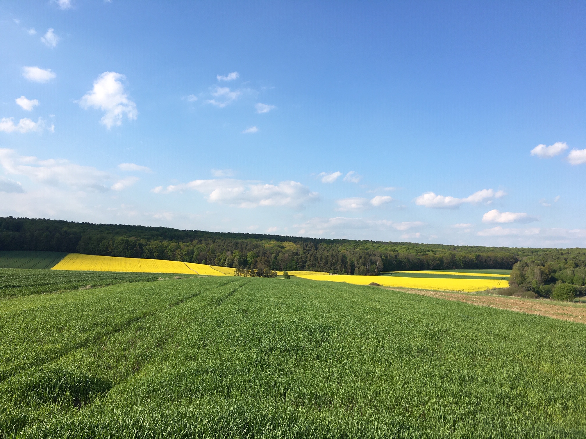 Burdanówka