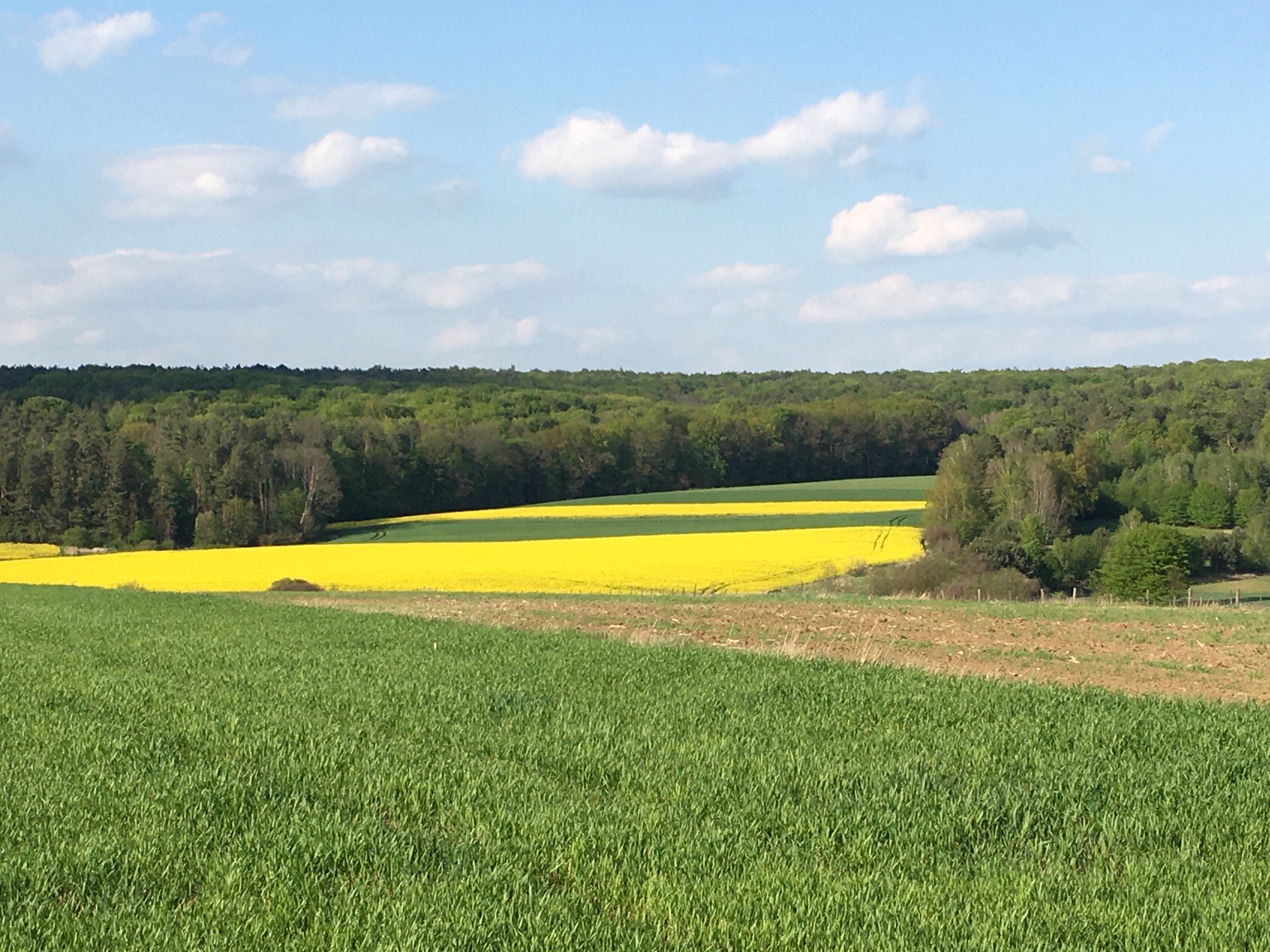 Burdanówka