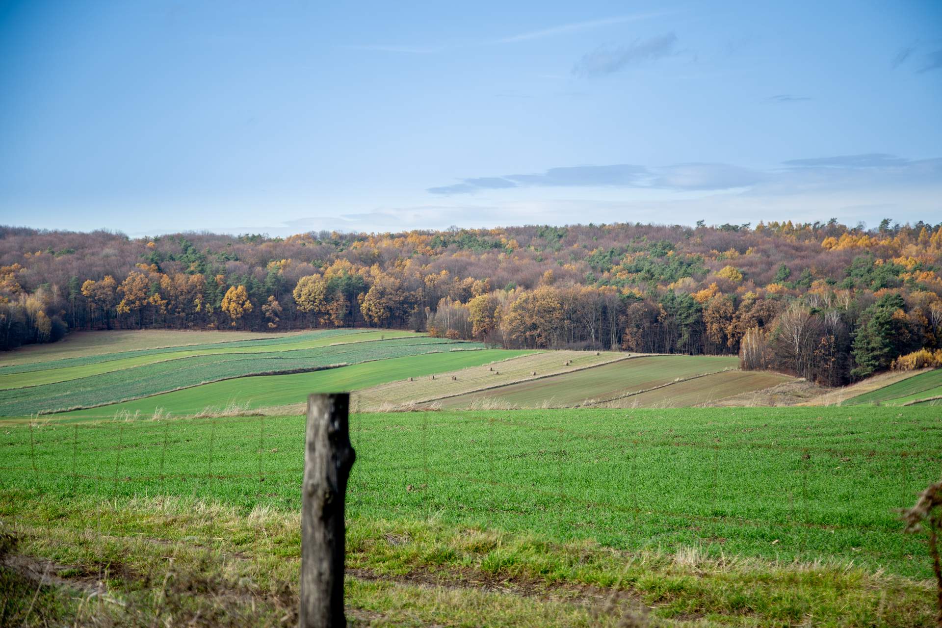 Burdanówka