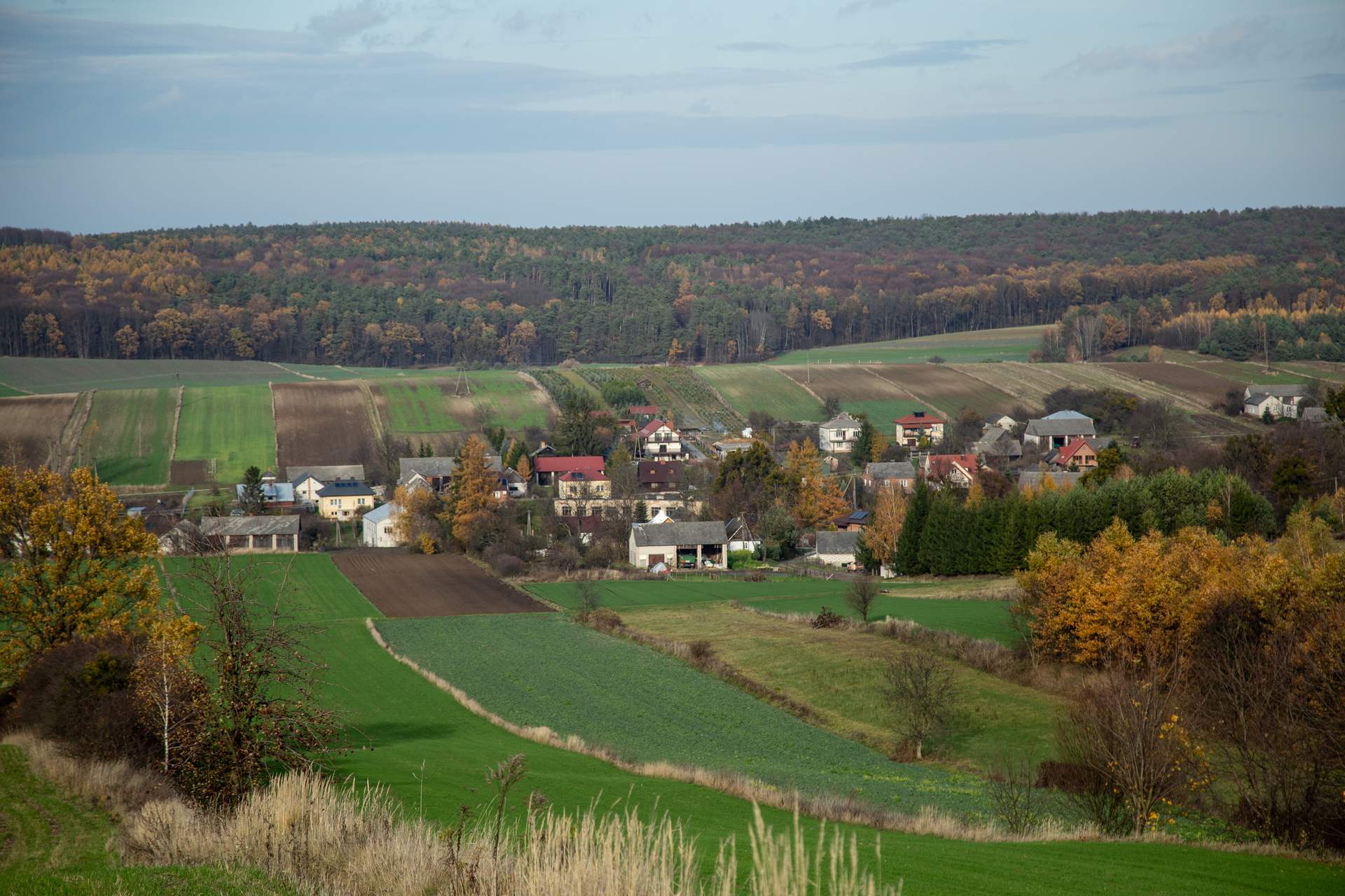 Burdanówka